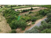 Terreno R�stico - Silves, Silves, Faro (Algarve) - Miniatura: 3/9
