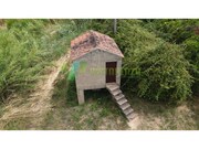 Terreno R�stico - Silves, Silves, Faro (Algarve) - Miniatura: 4/9