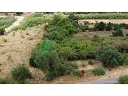 Terreno R�stico - Silves, Silves, Faro (Algarve) - Miniatura: 5/9