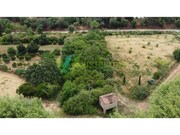 Terreno R�stico - Silves, Silves, Faro (Algarve) - Miniatura: 7/9