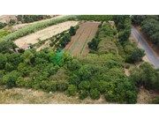 Terreno R�stico - Silves, Silves, Faro (Algarve) - Miniatura: 9/9