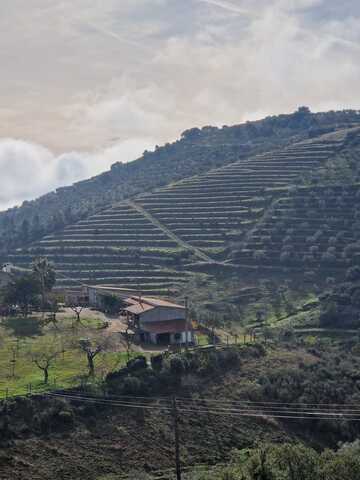 Terreno Rstico T0 - No Definido, Vila Flor, Bragana - Imagem grande