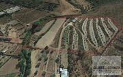 Terreno R�stico T0 - Cach�o, Mirandela, Bragan�a