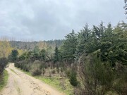 Terreno Urbano T0 - Torre de Dona Chama, Mirandela, Bragana - Miniatura: 7/14