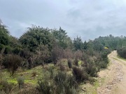 Terreno Urbano T0 - Torre de Dona Chama, Mirandela, Bragana - Miniatura: 13/14