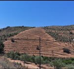 Terreno Rstico T0 - No Definido, Vila Flor, Bragana - Miniatura: 3/4