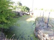 Terreno R�stico T0 - Candoso, Vila Flor, Bragan�a - Miniatura: 10/15