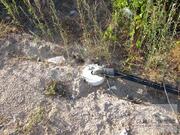 Terreno R�stico T0 - Candoso, Vila Flor, Bragan�a - Miniatura: 12/15