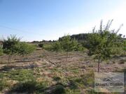 Terreno R�stico T0 - Candoso, Vila Flor, Bragan�a - Miniatura: 13/15