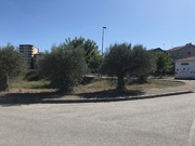 Terreno Urbano T0 - Mirandela, Mirandela, Bragan�a - Miniatura: 3/6