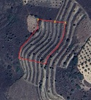 Terreno R�stico T0 - Frechas, Mirandela, Bragan�a - Miniatura: 7/7