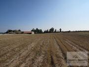 Terreno R�stico T0 - Bou�a, Mirandela, Bragan�a - Miniatura: 2/15
