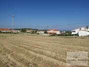 Terreno R�stico T0 - Bou�a, Mirandela, Bragan�a - Miniatura: 8/15