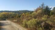 Terreno Urbano T0 - Torre de Dona Chama, Mirandela, Bragan�a - Miniatura: 2/14