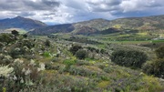 Terreno R�stico T0 - Frechas, Mirandela, Bragan�a - Miniatura: 1/7