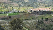 Terreno R�stico T0 - Frechas, Mirandela, Bragan�a - Miniatura: 2/7