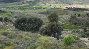 Terreno R�stico T0 - Frechas, Mirandela, Bragan�a - Miniatura: 3/7