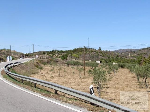 Terreno R�stico T0 - Frechas, Mirandela, Bragan�a - Imagem grande