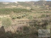 Terreno Rstico T0 - Cacho, Mirandela, Bragana - Miniatura: 1/8