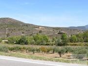 Terreno R�stico T0 - Frechas, Mirandela, Bragan�a - Miniatura: 2/8