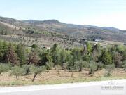 Terreno R�stico T0 - Frechas, Mirandela, Bragan�a - Miniatura: 4/8