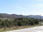 Terreno R�stico T0 - Frechas, Mirandela, Bragan�a - Miniatura: 5/8
