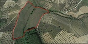 Terreno Rstico T0 - Vale Gouvinhas, Mirandela, Bragana - Miniatura: 1/3
