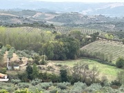 Terreno Rstico T0 - Vale Gouvinhas, Mirandela, Bragana - Miniatura: 6/9