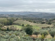 Terreno Rstico T0 - Vale Gouvinhas, Mirandela, Bragana - Miniatura: 9/9