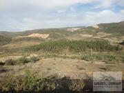 Terreno R�stico T0 - Cach�o, Mirandela, Bragan�a - Miniatura: 3/8