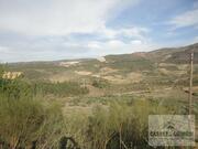 Terreno R�stico T0 - Cach�o, Mirandela, Bragan�a - Miniatura: 5/8