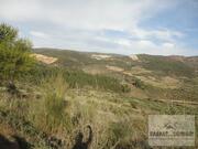 Terreno R�stico T0 - Cach�o, Mirandela, Bragan�a - Miniatura: 7/8
