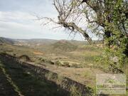 Terreno R�stico T0 - Cach�o, Mirandela, Bragan�a - Miniatura: 8/8