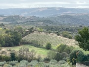 Terreno R�stico T0 - Vale Gouvinhas, Mirandela, Bragan�a - Miniatura: 1/9