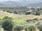 Terreno R�stico T0 - Vale Gouvinhas, Mirandela, Bragan�a - Miniatura: 7/9