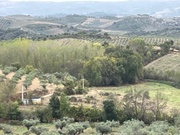 Terreno R�stico T0 - Vale Gouvinhas, Mirandela, Bragan�a - Miniatura: 8/9