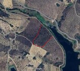 Terreno R�stico T0 - N�o Definido, Vila Flor, Bragan�a - Miniatura: 3/3