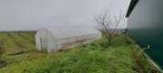 Terreno R�stico T0 - Assares, Vila Flor, Bragan�a - Miniatura: 5/10