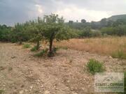 Terreno R�stico T0 - Passos, Mirandela, Bragan�a - Miniatura: 1/4