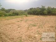 Terreno R�stico T0 - Passos, Mirandela, Bragan�a - Miniatura: 3/4