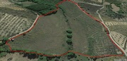 Terreno R�stico T0 - Vale Gouvinhas, Mirandela, Bragan�a - Miniatura: 4/9