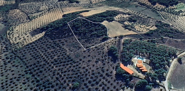 Terreno Rstico T0 - Vale Gouvinhas, Mirandela, Bragana - Imagem grande