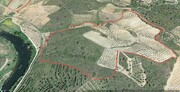 Terreno Rstico T0 - No Definido, Mirandela, Bragana - Miniatura: 3/17
