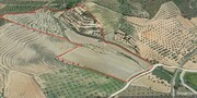 Terreno Rstico T0 - No Definido, Mirandela, Bragana - Miniatura: 9/17