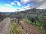 Terreno R�stico T0 - N�o Definido, Mirandela, Bragan�a - Miniatura: 4/17