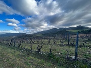 Terreno R�stico T0 - N�o Definido, Mirandela, Bragan�a - Miniatura: 8/17