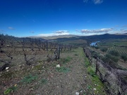 Terreno R�stico T0 - N�o Definido, Mirandela, Bragan�a - Miniatura: 11/17