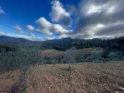 Terreno R�stico T0 - N�o Definido, Mirandela, Bragan�a - Miniatura: 17/17