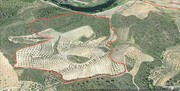 Terreno R�stico T0 - N�o Definido, Mirandela, Bragan�a - Miniatura: 1/17