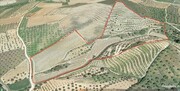 Terreno R�stico T0 - N�o Definido, Mirandela, Bragan�a - Miniatura: 7/17